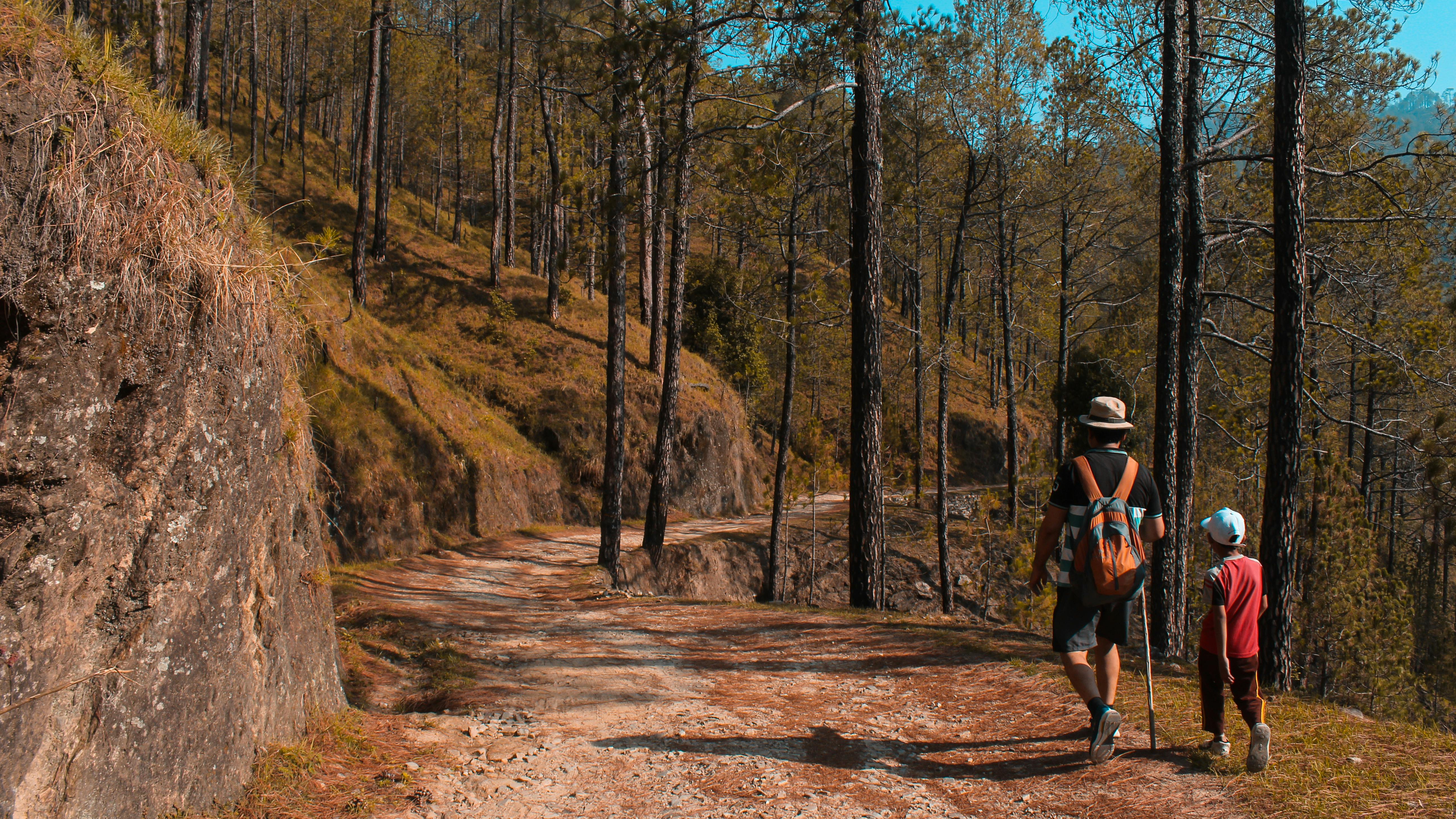 Father and son hiking together enjoying an active lifestyle